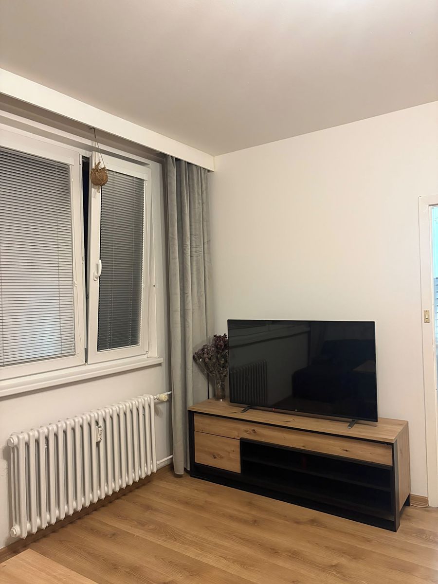 Pronájem bytu 1+1 32 m² – fotografie 4