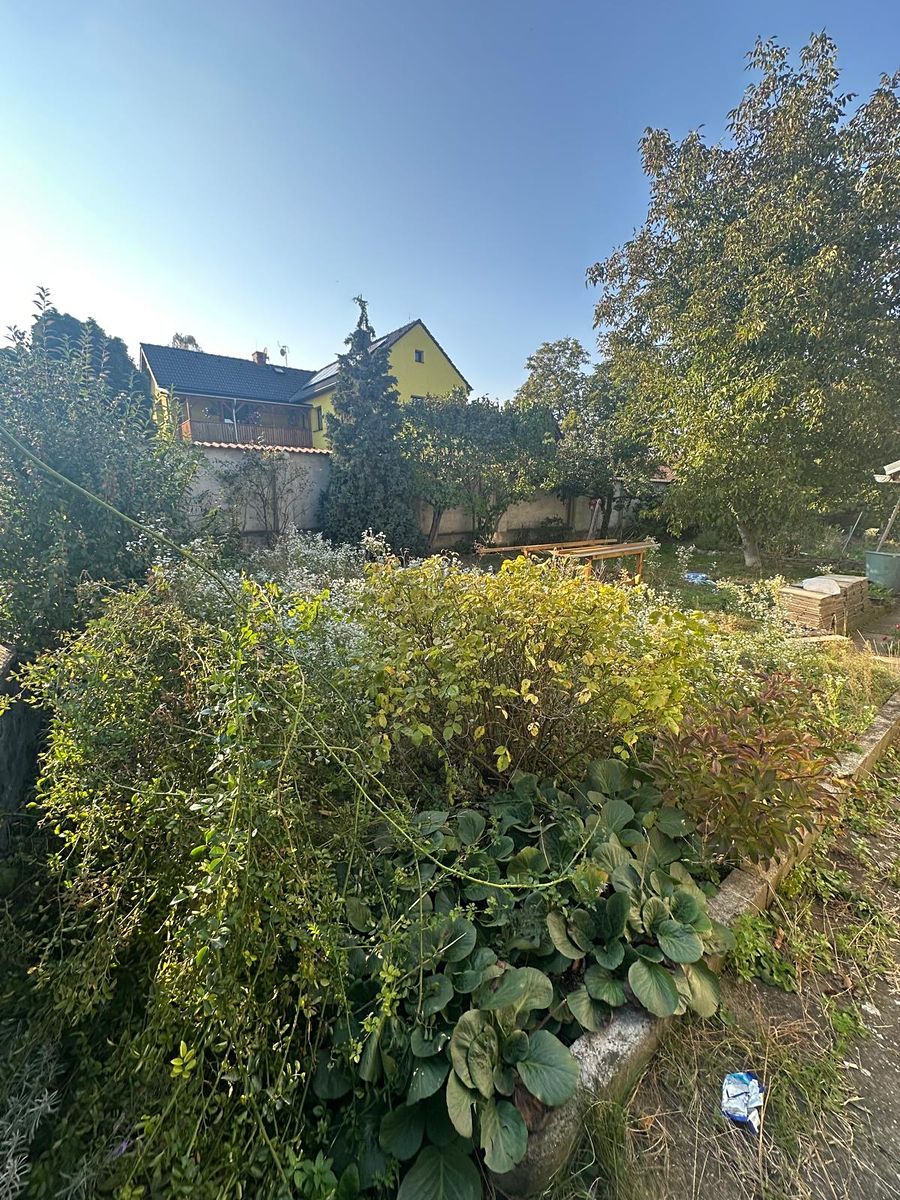 Prodej stavebního pozemku 786 m² – fotografie 3