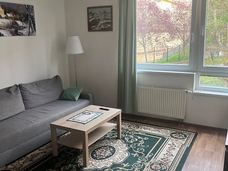 Pronájem bytu 2+kk 39 m², Praha – náhled fotky 2