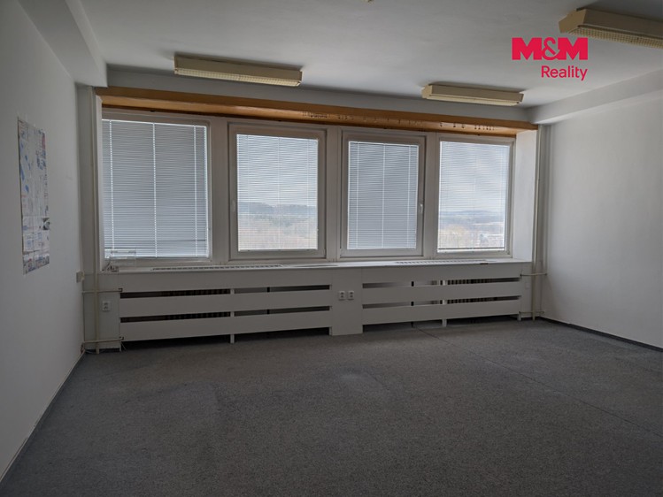 Pronájem komerčního prostoru, 38 m² (3 z 11)
