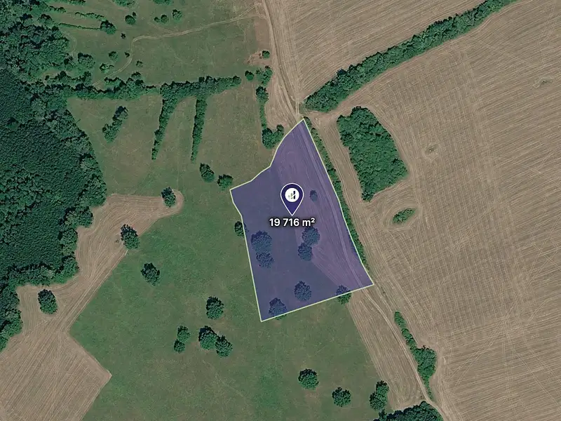 Prodej louky 19716 m², Suchov – náhled fotky 1