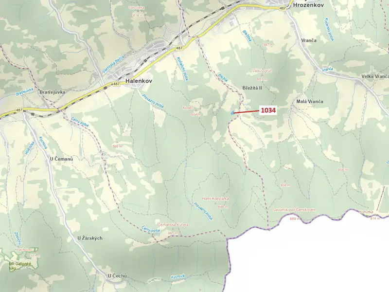 Dražba lesa 4417 m², Halenkov – náhled fotky 1
