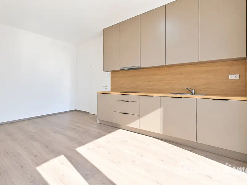 Pronájem bytu 1+kk 40 m², Brno – náhled fotky 3