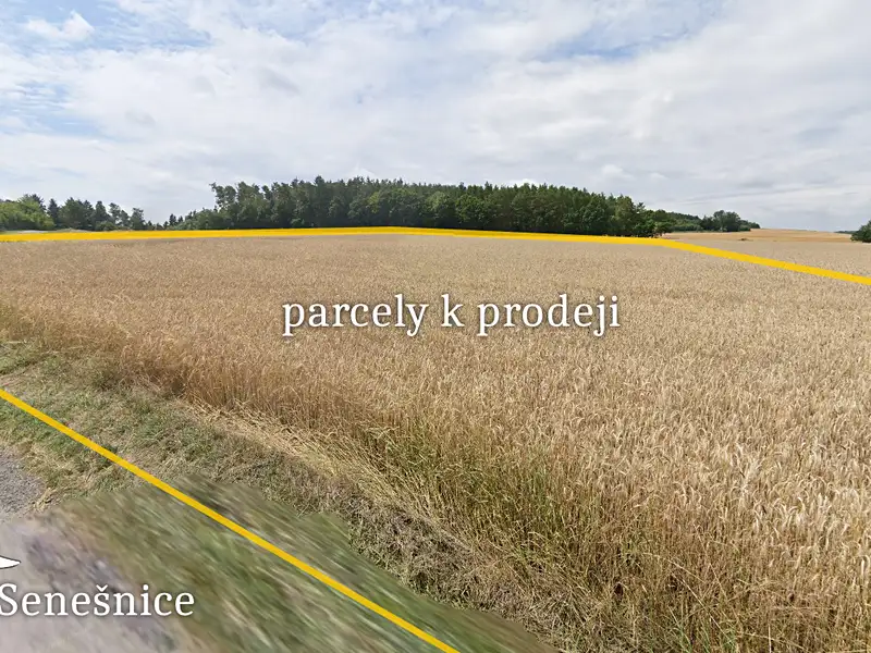 Prodej pole 11572 m², Bojanovice – náhled fotky 2