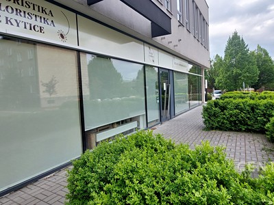Комерційне приміщення в оренду, 80 м² (2 з 9)