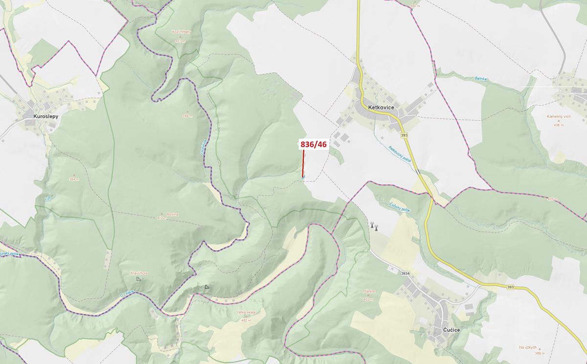 Dražba lesa 594 m², Ketkovice – fotka 1 z 3