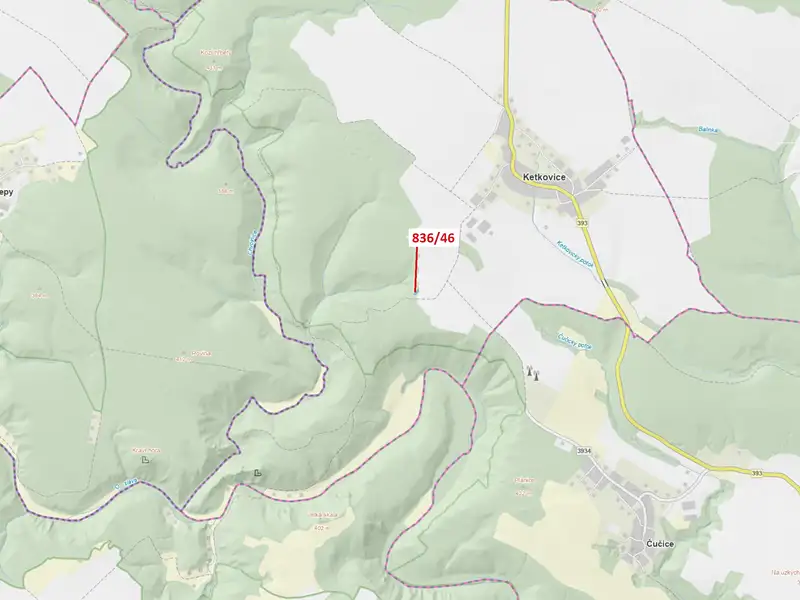 Dražba lesa 594 m², Ketkovice – náhled fotky 1