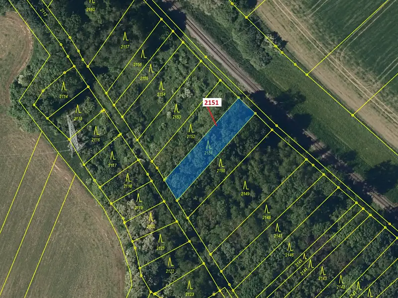 Dražba lesa 660 m², Bezměrov – náhled fotky 2