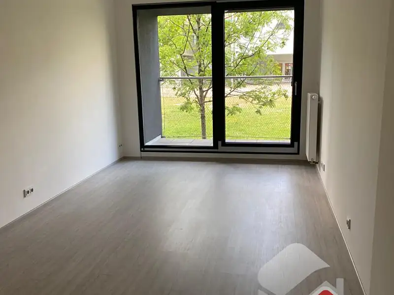 Pronájem bytu 1+kk 30 m², Brno – náhled fotky 3