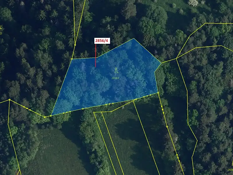 Dražba lesa 2709 m², Český Dub – náhled fotky 2