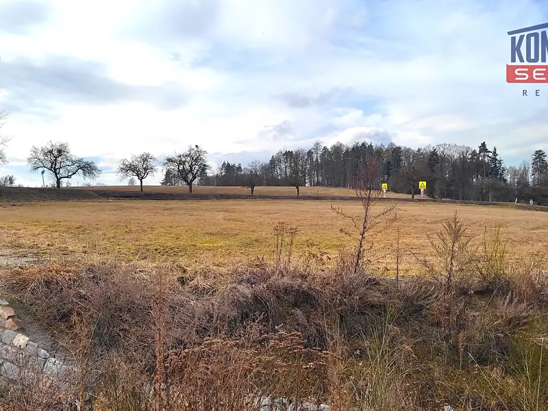 Prodej stavebního pozemku 1466 m², Sedlice – náhled fotky 3