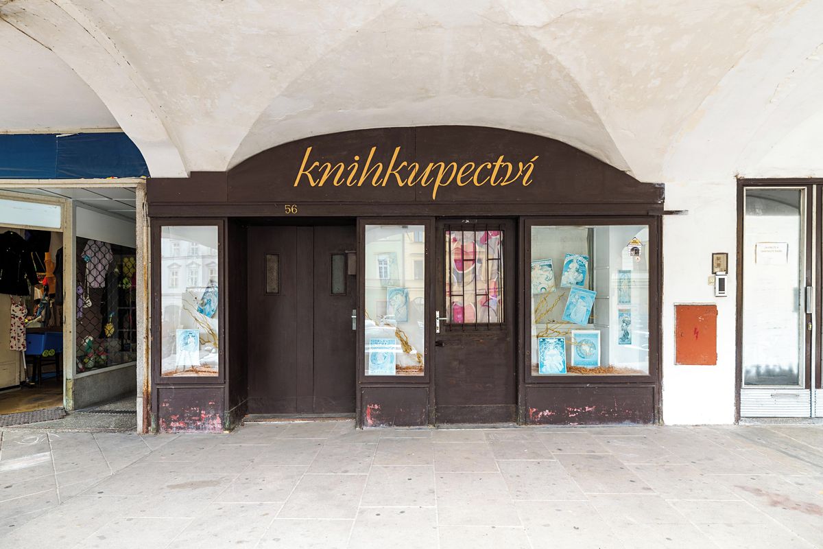 Prodej rodinného domu 165 m², pozemek 250 m² – fotografie 3