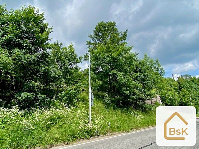 Prodej stavebního pozemku 2434 m² – fotografie 3