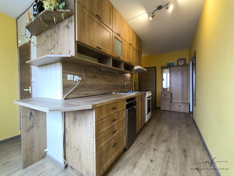 Pronájem bytu 2+1, 55 m² (1 z 17)