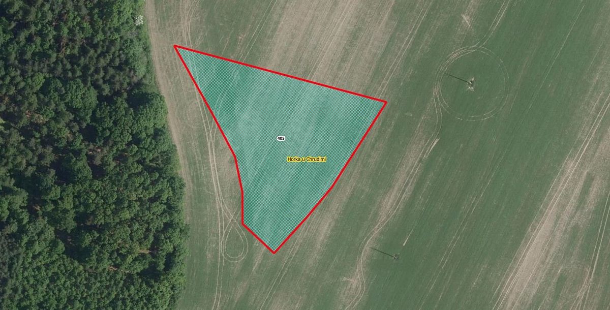 Prodej pole 5539 m²