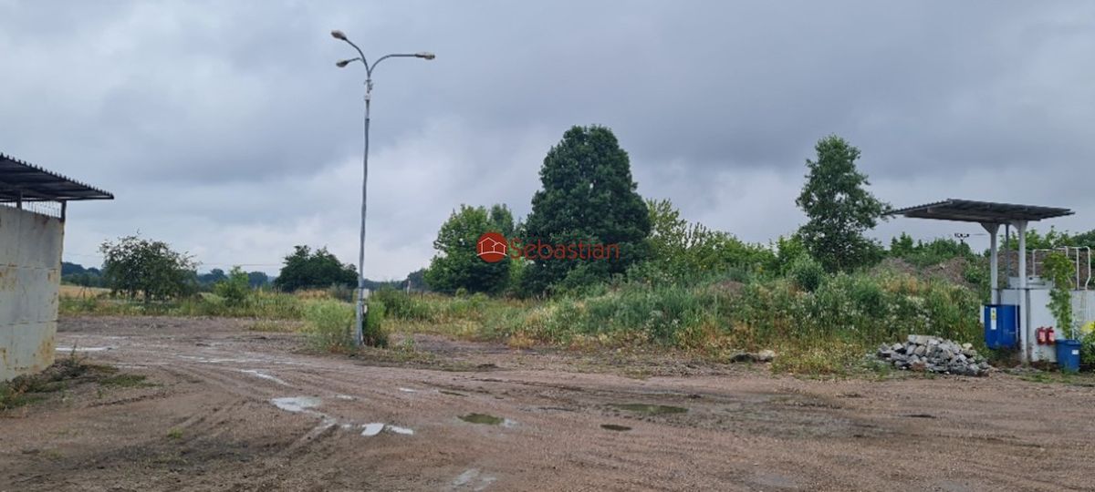 Pronájem komerčního pozemku 10995 m² – fotografie 4