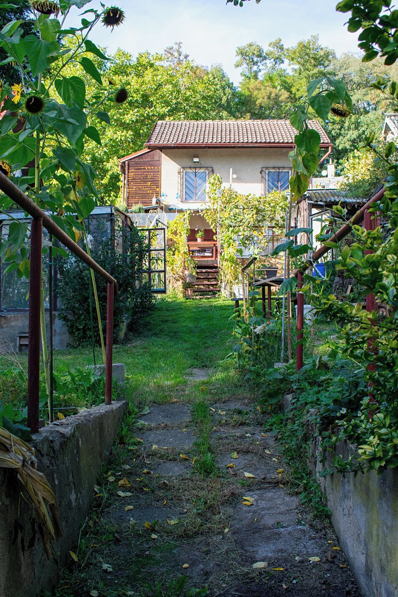 Prodej chaty 27 m², pozemek 307 m² – fotografie 5