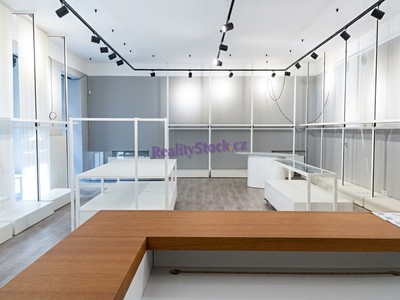 Gewerbefläche zur Miete, 108 m² (2 von 8)