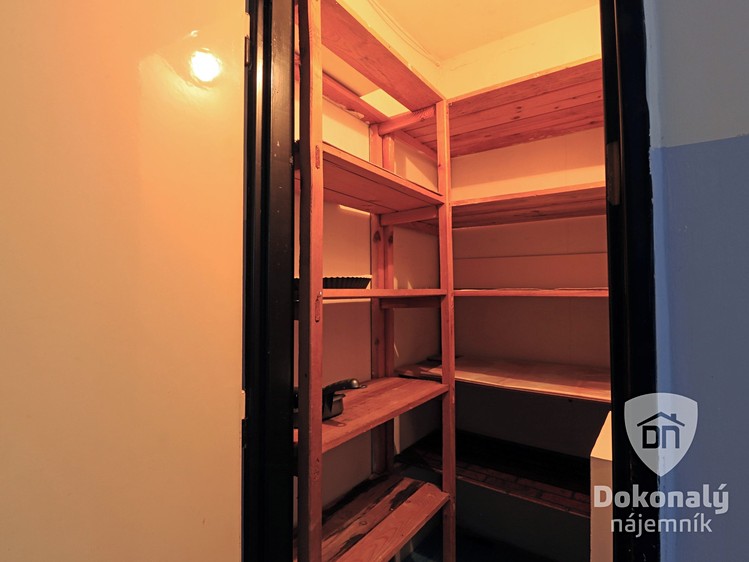Pronájem bytu 1+kk, 43 m² (10 z 12)