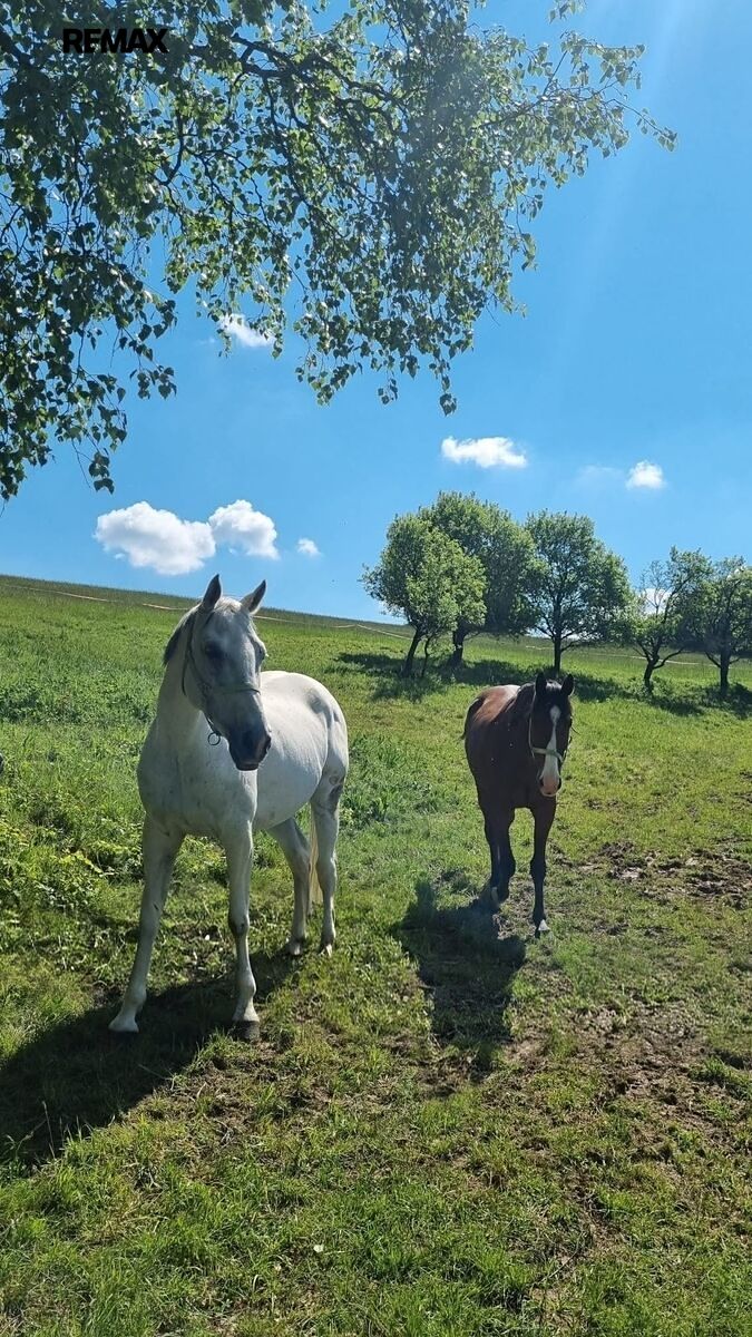 Prodej stavebního pozemku 285345 m² – fotografie 2