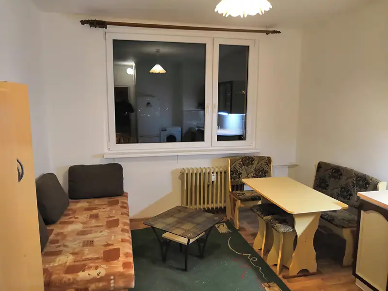 Pronájem bytu 1+kk 24 m², Ústí nad Labem – náhled fotky 1