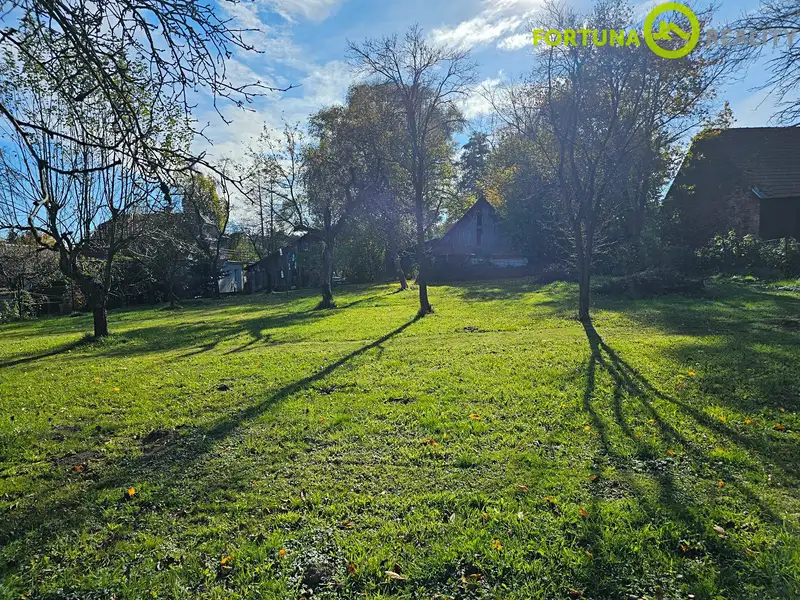 Prodej stavebního pozemku 3068 m², Rybí – náhled fotky 3