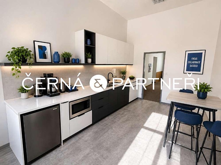 Комерційне приміщення в оренду, 264 м² (10 з 12)