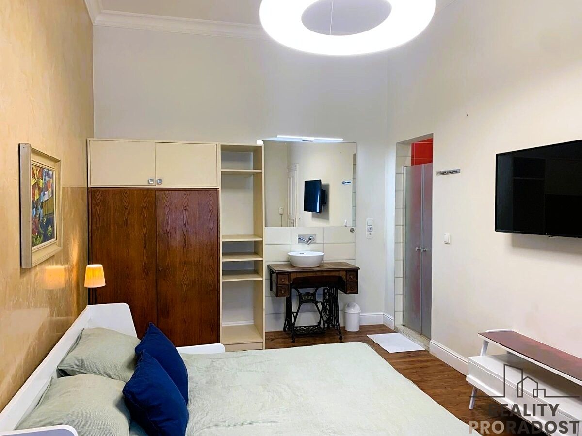 Pronájem bytu 1+1 33 m² – fotografie 4