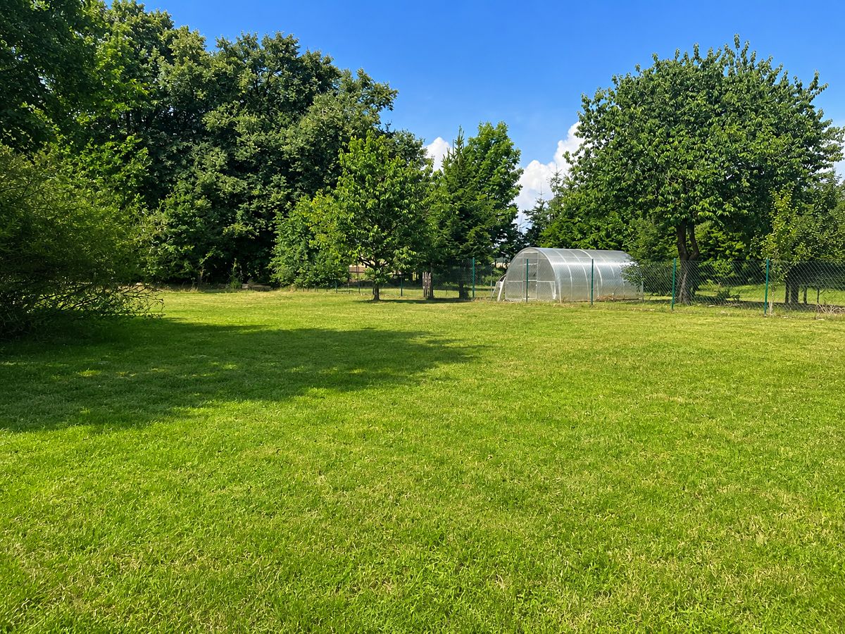 Prodej zemědělské usedlosti 83 m², pozemek 2071 m² – fotografie 5