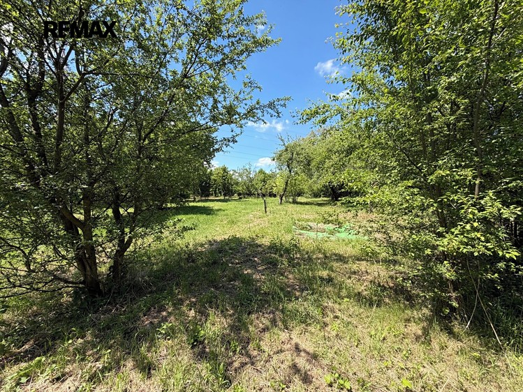 Grundstück zur Miete, 2.982 m² (9 von 23)