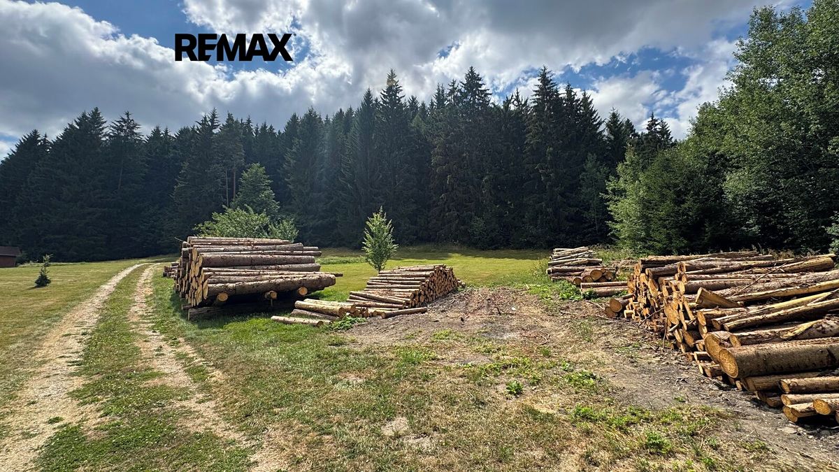 Prodej stavebního pozemku 1387 m² – fotografie 3