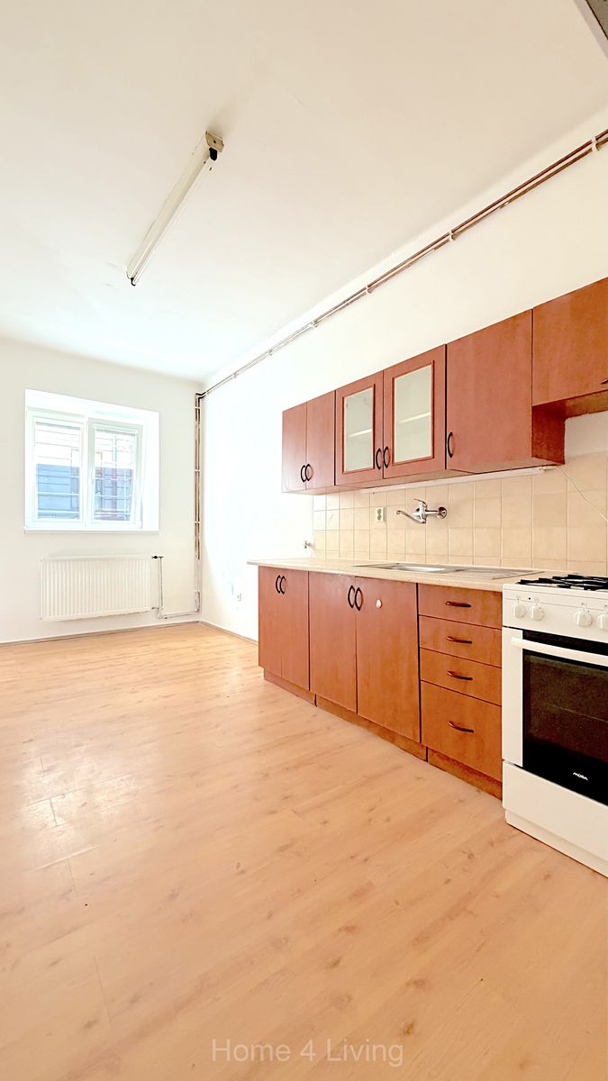 Pronájem bytu 1+1 45 m²