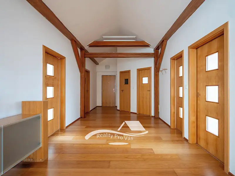 Prodej bytu 4+kk 198 m², Brno – náhled fotky 1