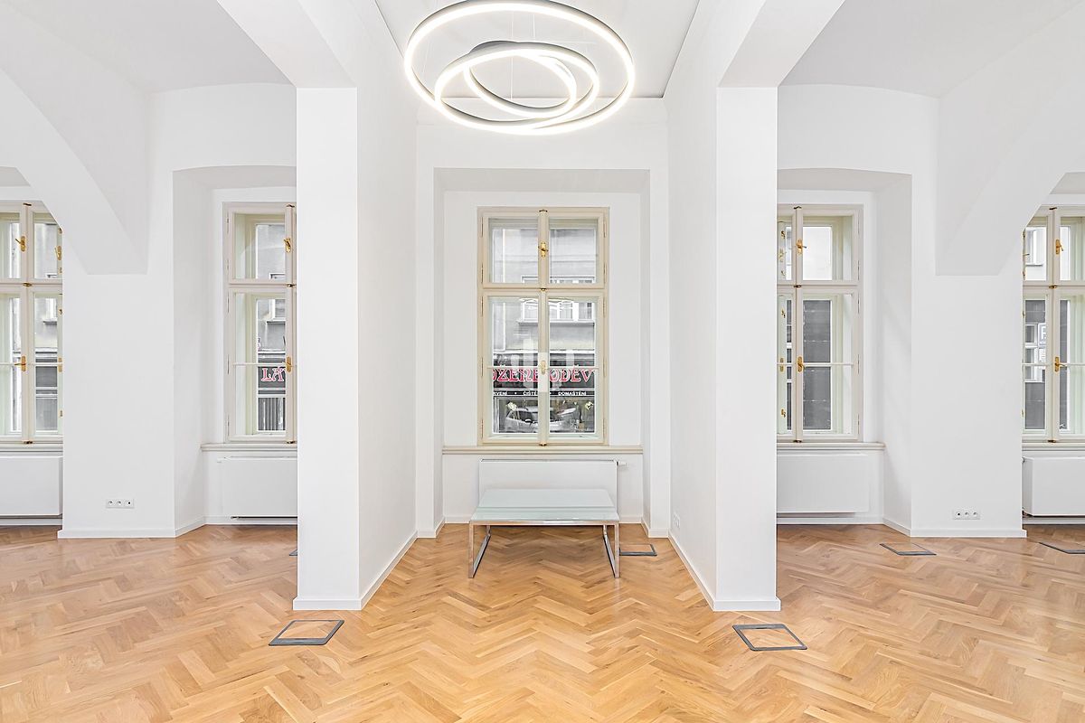 Pronájem obchodního prostoru 133 m² – fotografie 3