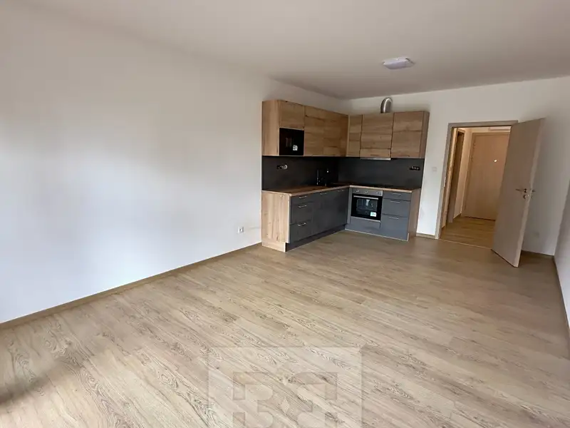 Pronájem bytu 1+kk 35 m², Slaný – náhled fotky 2