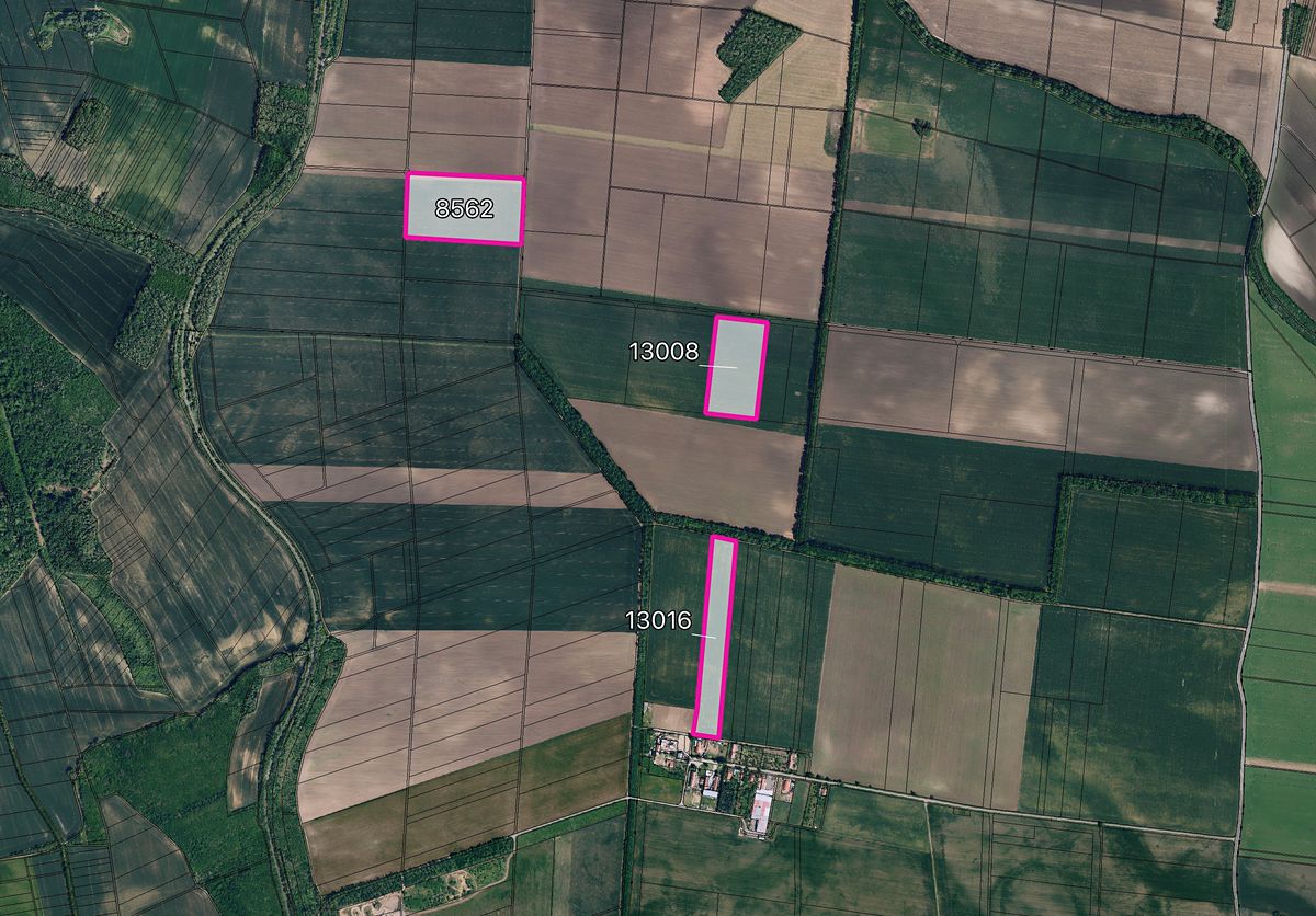 Prodej pole 90356 m²