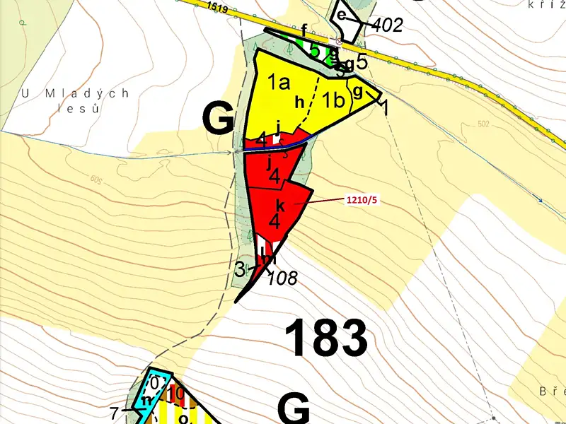 Dražba lesa 3832 m², Volfířov – náhled fotky 3