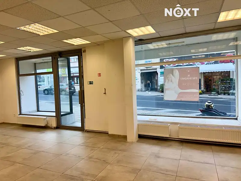 Pronájem obchodního prostoru 150 m², Teplice – náhled fotky 1