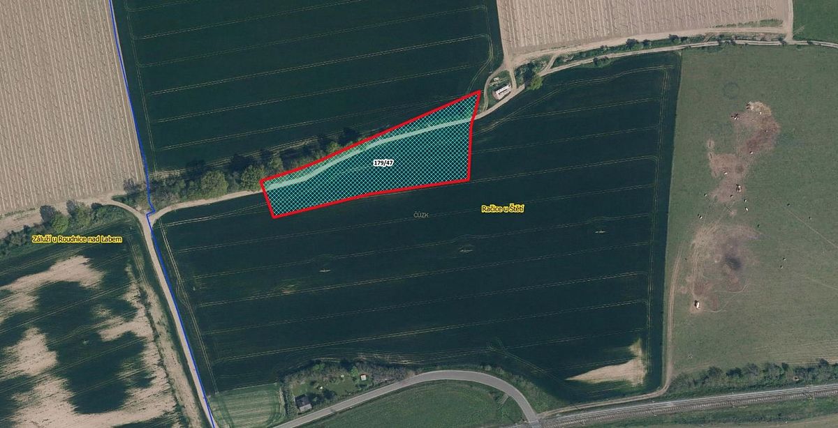 Prodej pozemku 8045 m², Račice – fotka 1 z 3