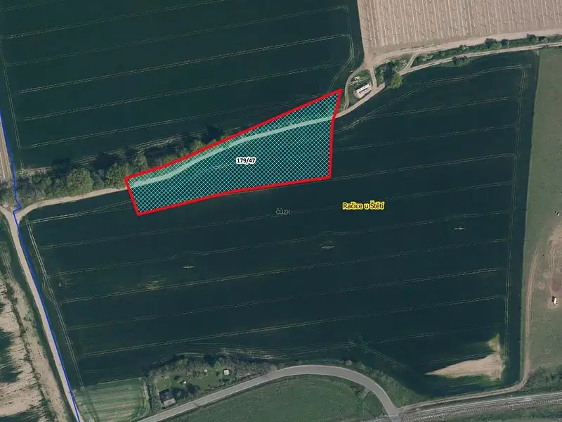 Prodej pozemku 8045 m², Račice – náhled fotky 1