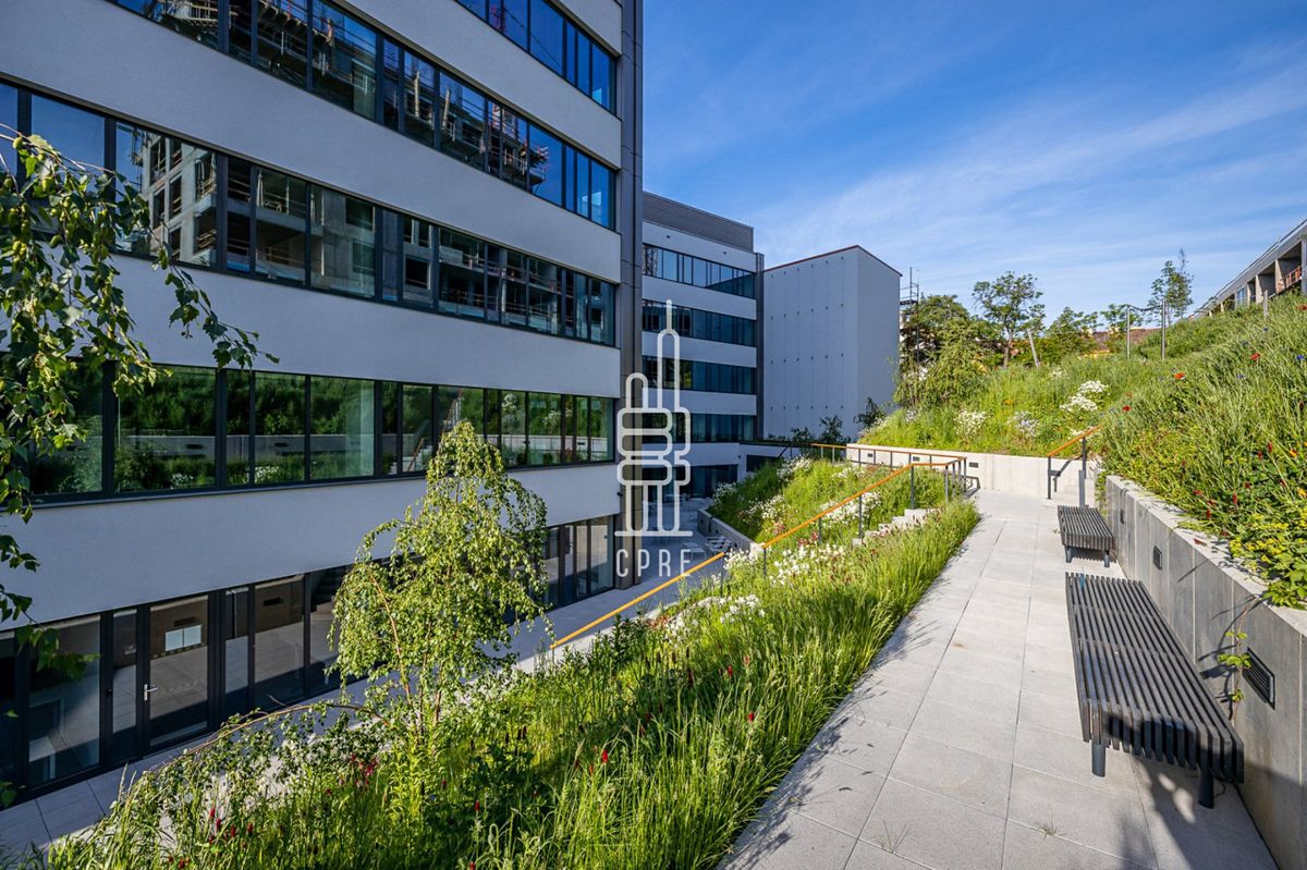 Pronájem kanceláře 300 m² – fotografie 5