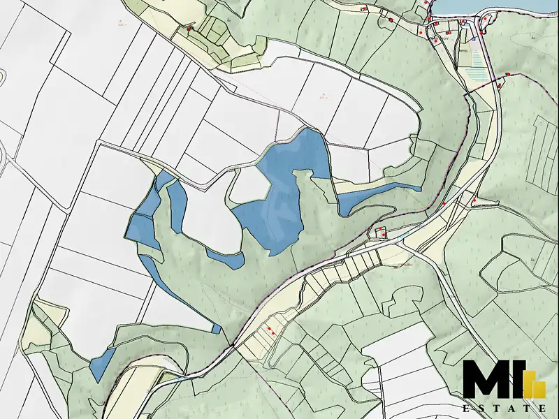 Prodej lesa 103260 m², Vysoká – náhled fotky 3