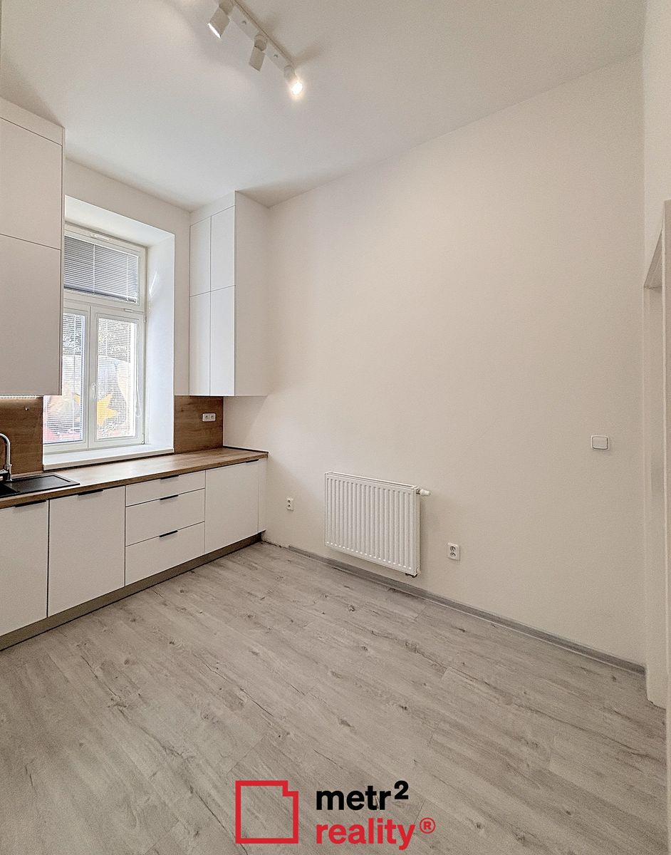 Pronájem bytu 1+1 47 m² – fotografie 4