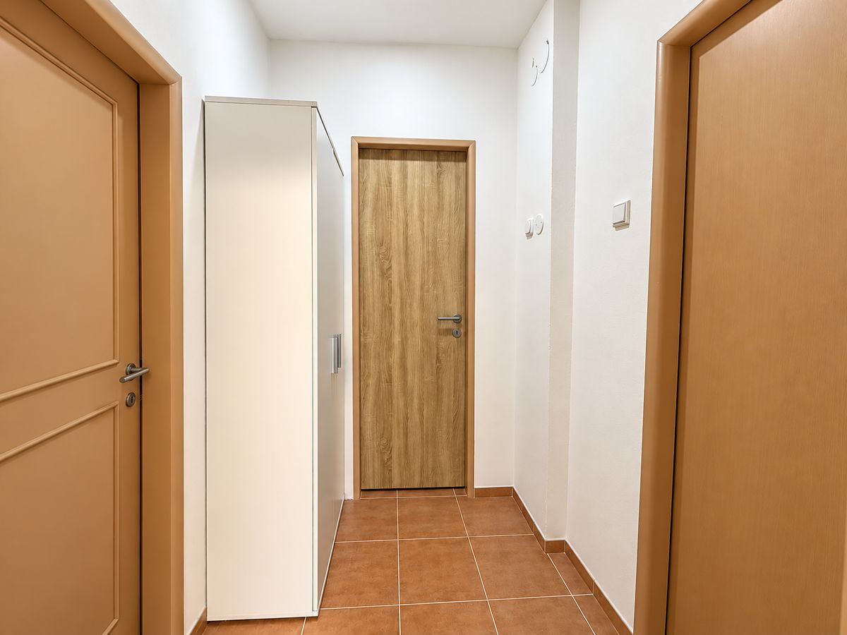 Pronájem bytu 1+kk 40 m² – fotografie 4