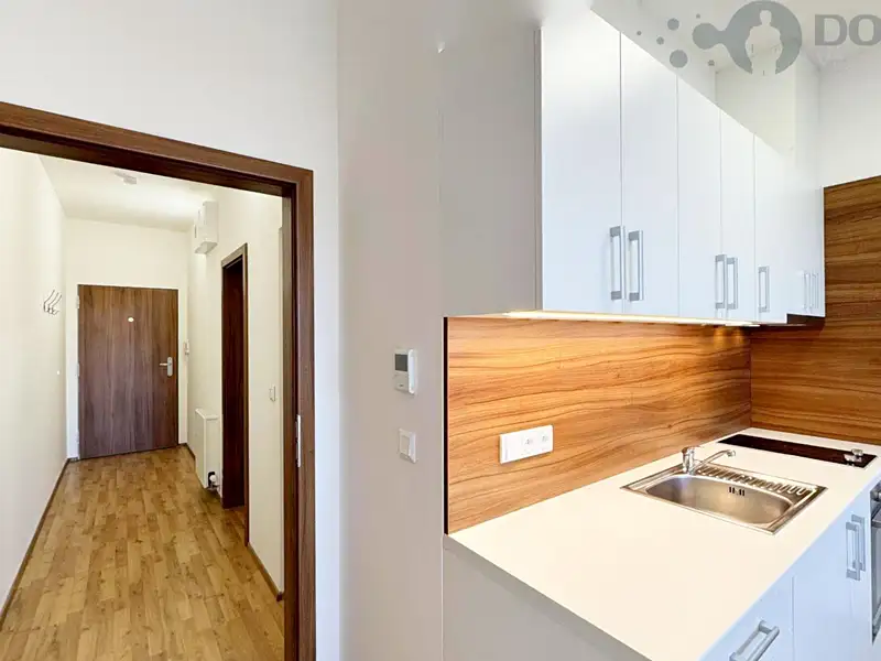 Pronájem bytu 1+kk 34 m², Olomouc – náhled fotky 3