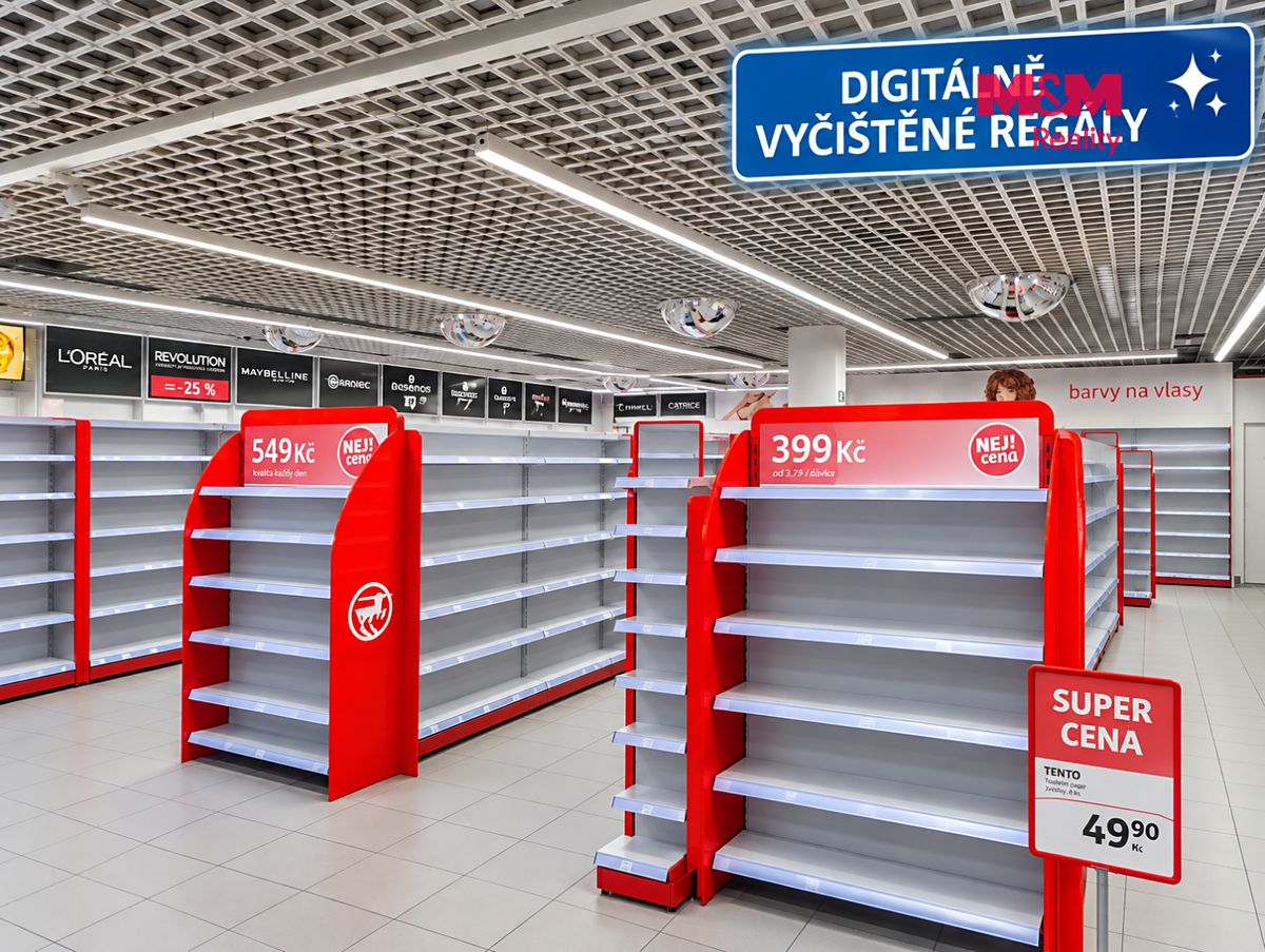 Pronájem obchodního prostoru 304 m² – fotografie 3