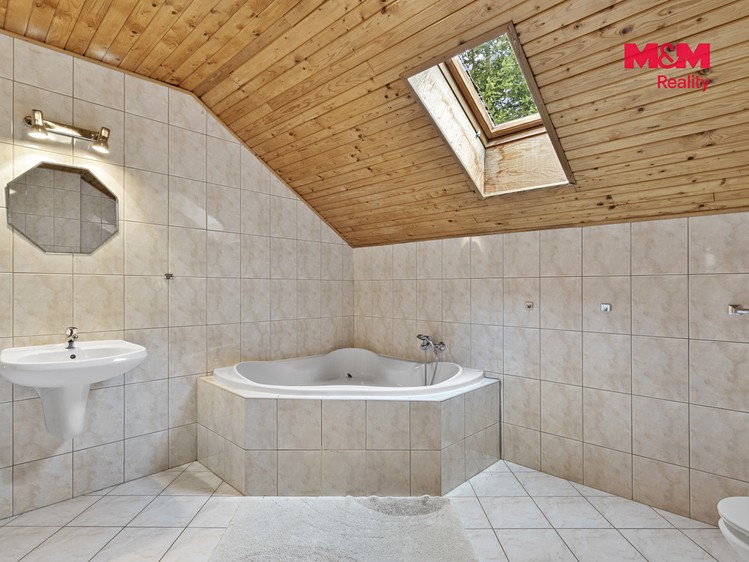 Prodej domu, 341 m² (29 z 30)