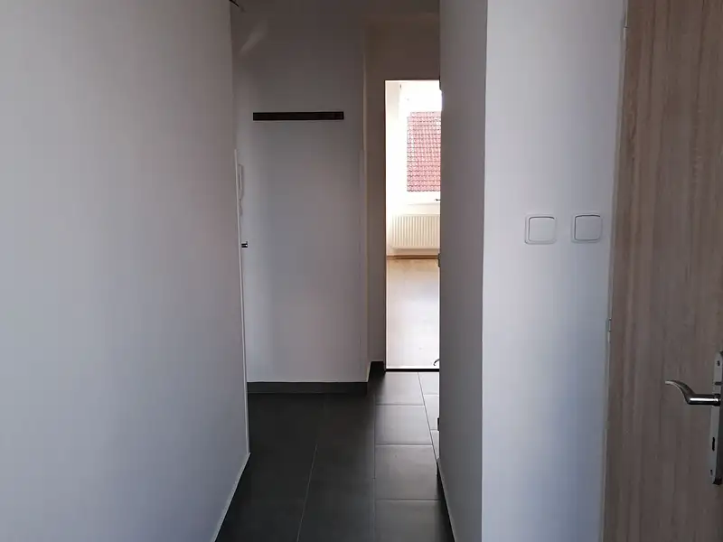 Pronájem bytu 2+1 49 m², Písek – náhled fotky 3