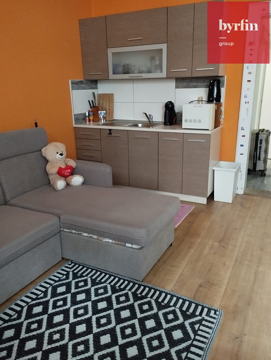 Pronájem bytu 1+kk 32 m² – fotografie 2