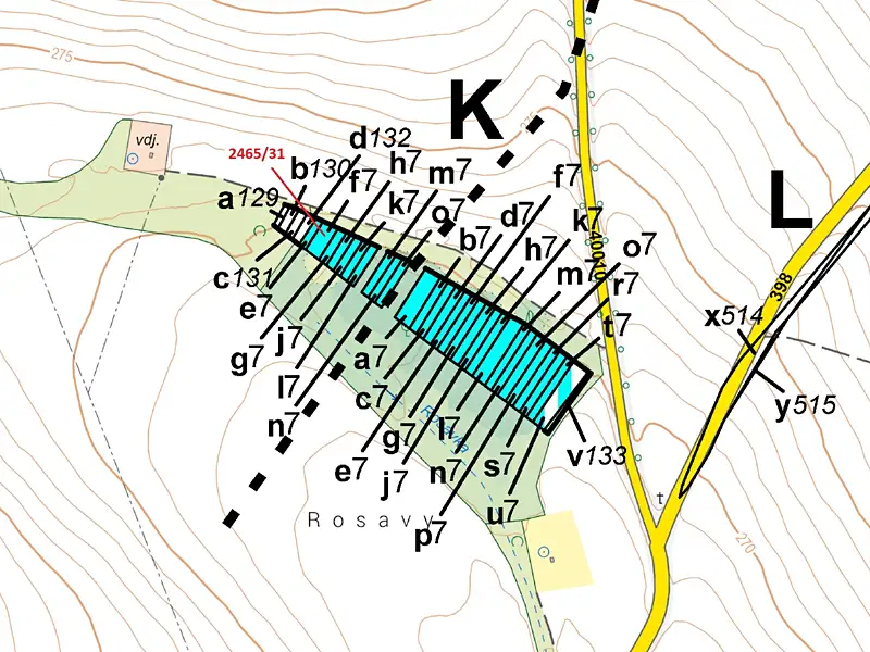 Dražba lesa 263 m², Horní Dunajovice – náhled fotky 3